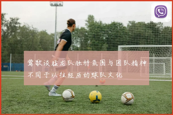 莺歌谈猛龙队独特氛围与团队精神不同于以往经历的球队文化